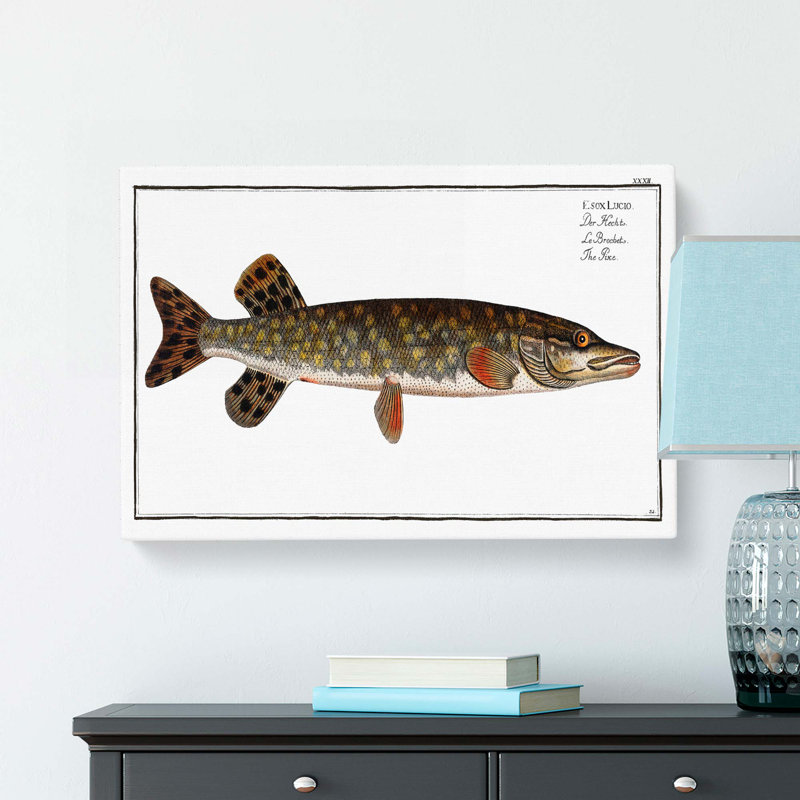 Pike Fish by M.E. Bloch - Wrapped Canvas, 35cm H x 50cm W x 3cm D
