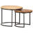 Ivaldo Frame 2 Nesting Tables Coffee Table-877844293
