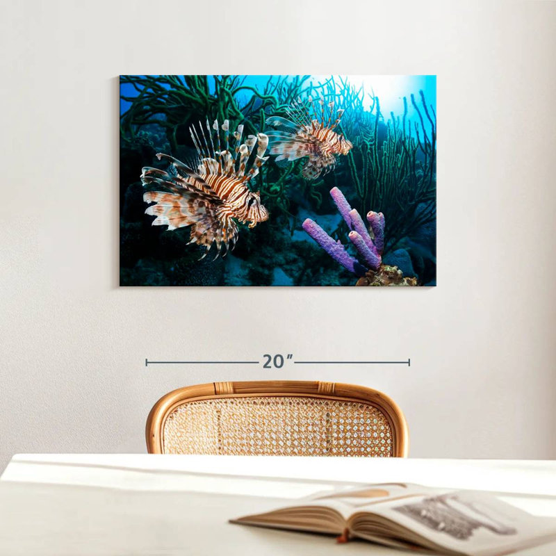 Brampt Atlantic Ocean Lionfish, 16" H x 24" W