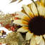 Décoration 12 "récolte d'automne tournesol et citrouille