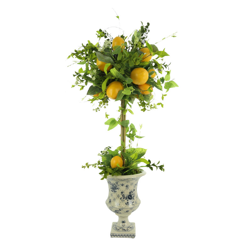 Topiaire citron Garnes dans un vase à piédestal décoratif