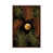 Classic Brown Wood Framed selected