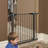 MidWest Homes for Pets Gate/ Walk-thru Steel Pet Gate-22329566-22329569
