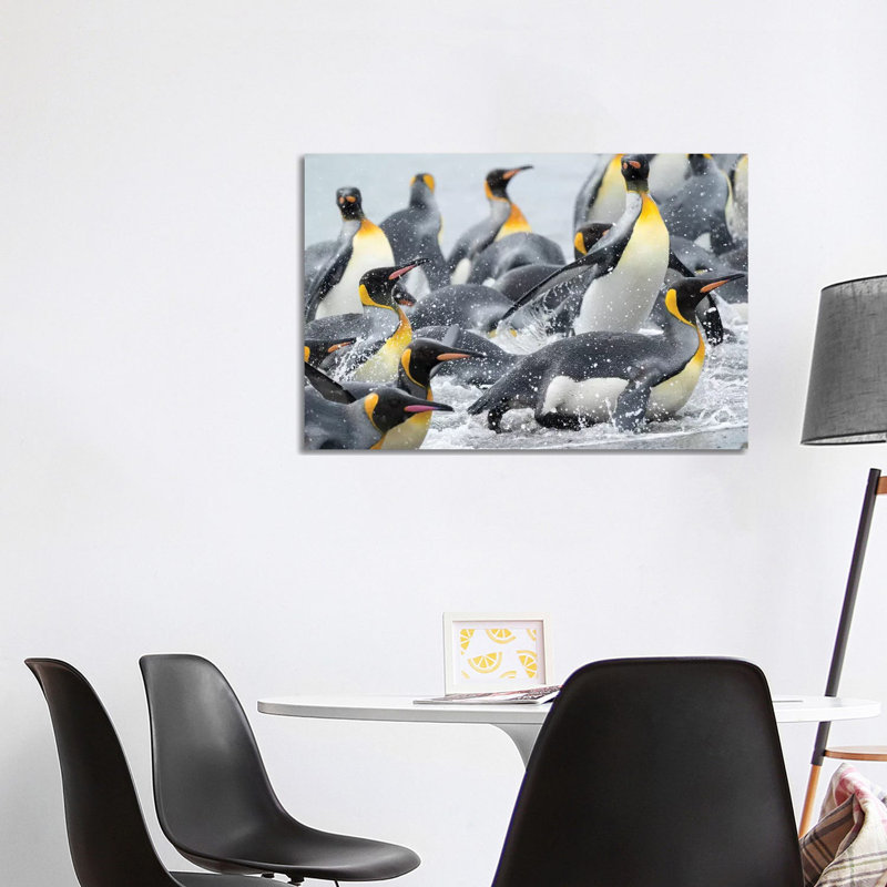 King Penguin Rookery On Salisbury Plain In The Bay Of Isles. South Georgia Island by Martin Zwick - Wrapped Canvas Print