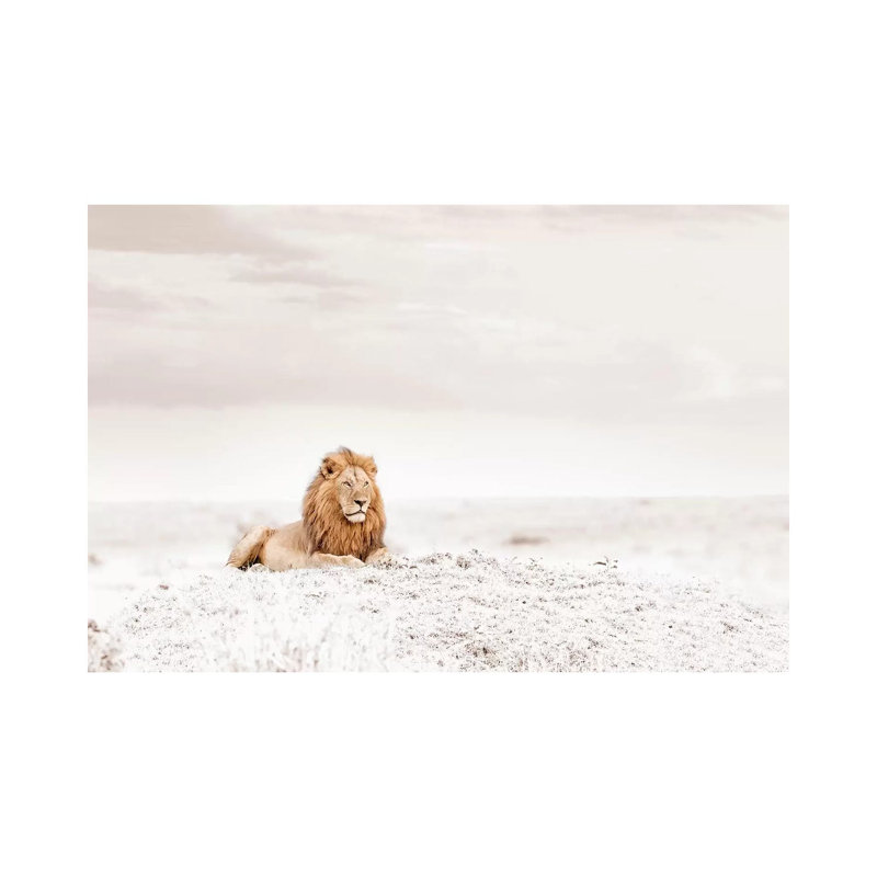 White Lion by Klaus Tiedge - Print on Canvas, 66.04 cm H x 45.72 cm W x 1.91 cm D, Wrapped Canvas