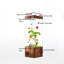 Petit aquarium vertical 15,75 po