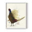 Pheasant Splash 8, reproduction encadrée - bois massif-616042052-616042105
