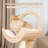 Transformable 57'' Cat Tree, Modern Wood Cat Tower for Large Cats with Scratching Posts