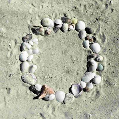 " Shell Wreath "
