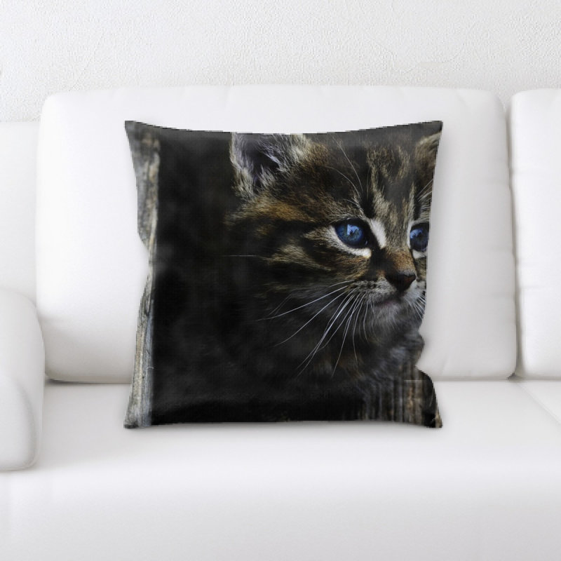 Coussin pour chat