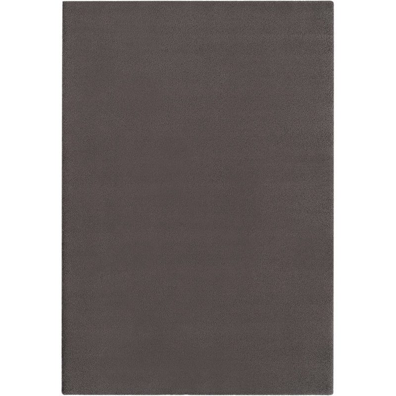 Avianah Solid Colour Area Rug, Rectangle 67 x 133cm