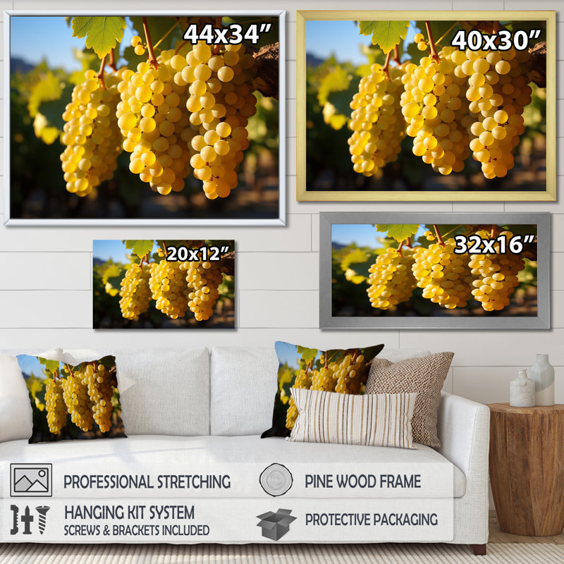 «Golden Grapes Vineyard II», reproduction sur toile, H 30 po x l 40 po x P 1,5 po, Cadre flottant doré