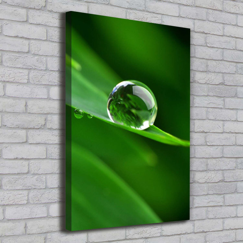 A Blade Of Grass - Wrapped Canvas Print