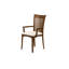 Sarah Upholstered Arm Chair-20804148-20804156