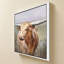 «Big Sky Longhorn» par Danhui Nai, impression sur toile-130876659