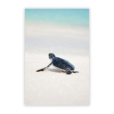 New Born Sea Turtle In Abstract - Print