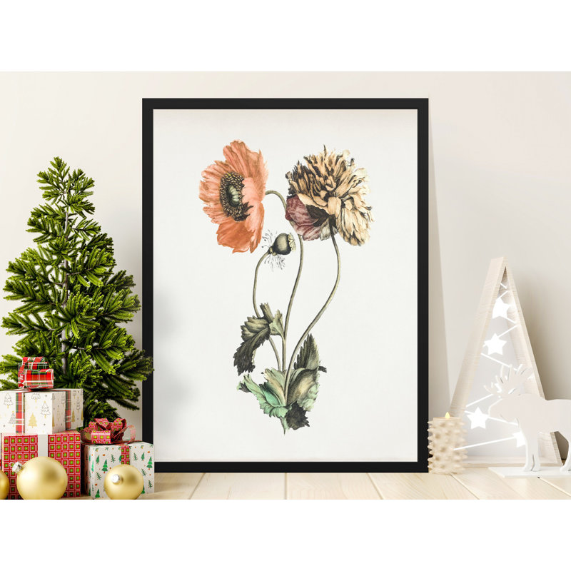 Subani Single Picture Frame Print, 50.8 cm H x 40.64 cm W