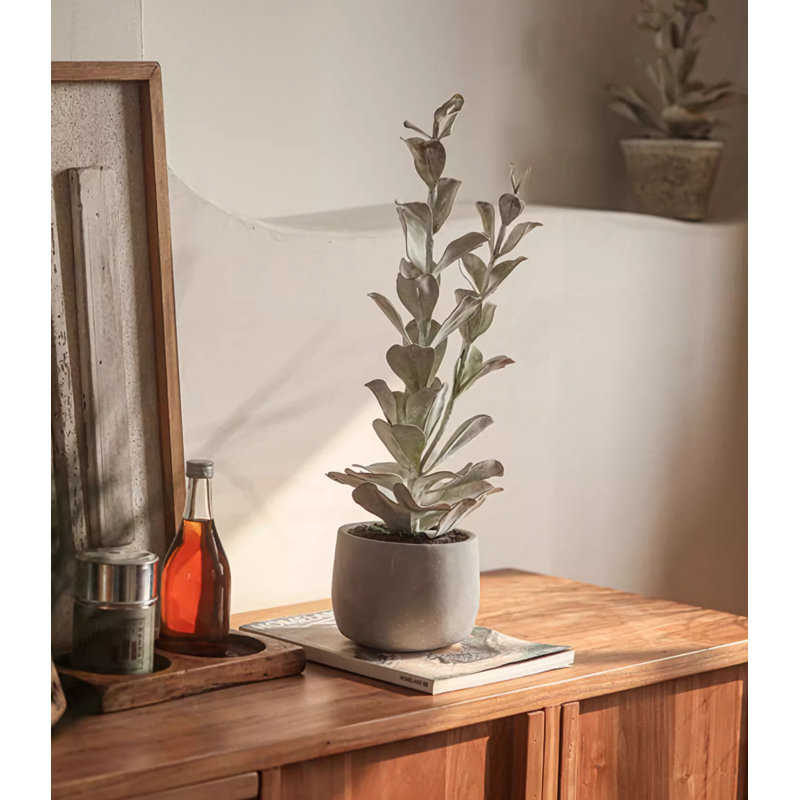 22,05 po Faux sapin