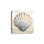 «Cape Cod Clamshell» par Nicole DeCamp, reproduction d'art