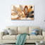 Ensemble de 1 tableau sur toile « Plumes »-130542206-130542202