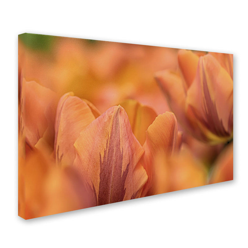 « orange tulips », reproduction de photo sur toile tendue, H 22 po x l 32 po x P 2 po