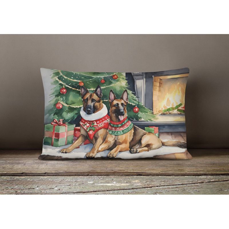 Other/No Pattern Outdoor Throw Pillow