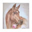 Horse With Rose by Debi Coules - Painting on Canvas-29382810-56731356