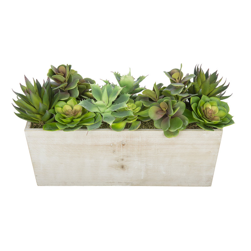 Plante succulente artificielle dans un vase décoratif, Blanc