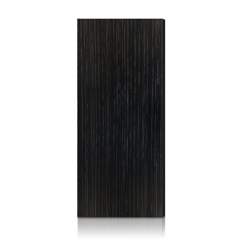 Dalle de porte intérieure noire en composite à noyau creux lisse, 32 po x 80 po