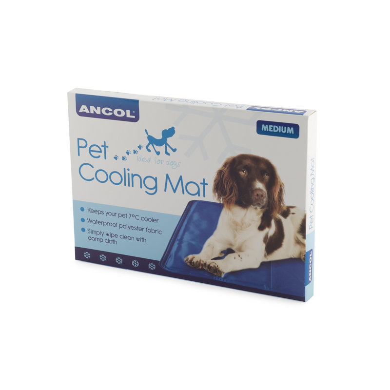 Wesson Plastic Pet Bed, 1cm H x 60cm W x 90 cm D
