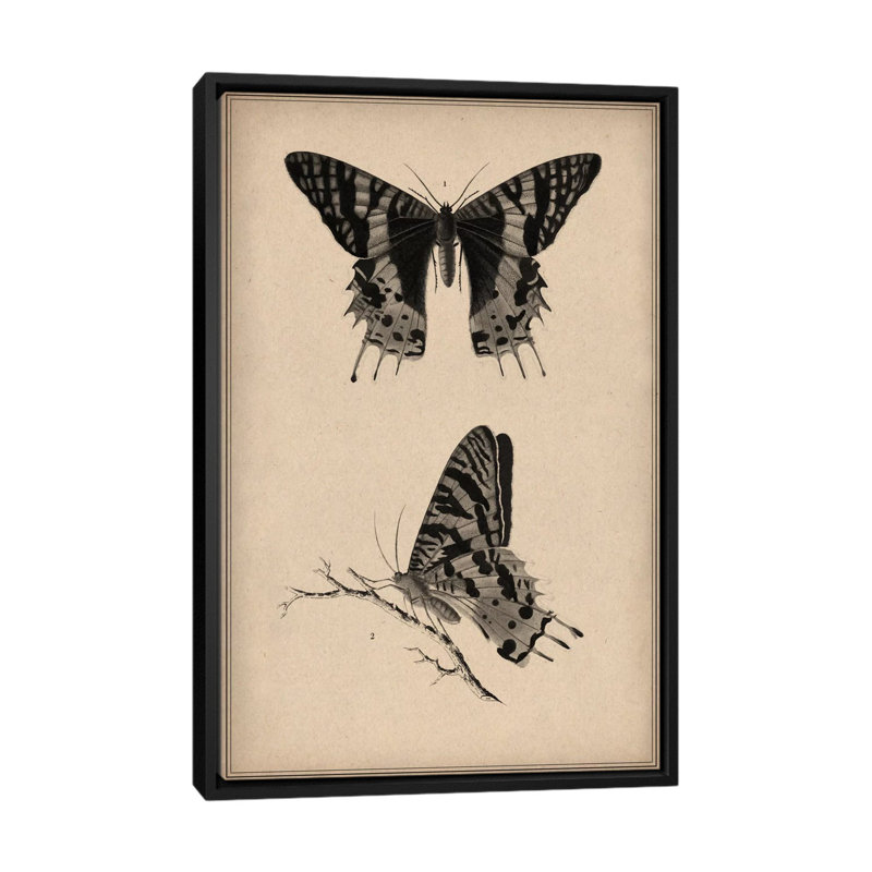 Art animalier, papillon rétro, impression sur toile tendue, H 26 po x l 18 po x P 1,5 po, Toile avec cadre flottant noir