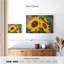 Harnek chardonneret et tournesols-107855099