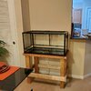 REPTIZOO 36'' x 18'' x 18'' Reptile Terrarium & Reviews | Wayfair