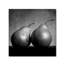 Reproduction de photo sur toile tendue "coqueteo peras" par moises perception-15821666