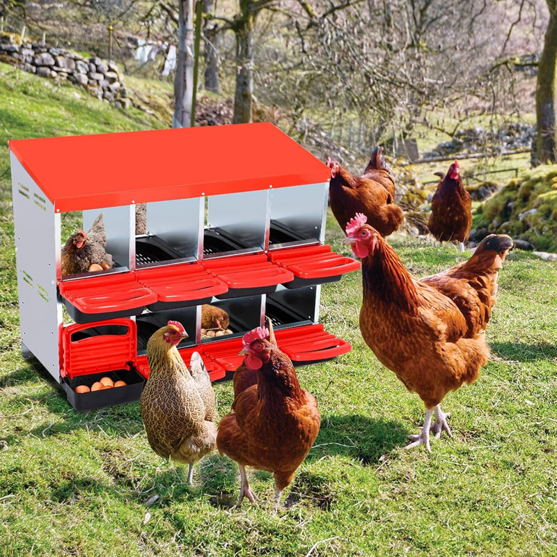 Egg Boxes & Baskets