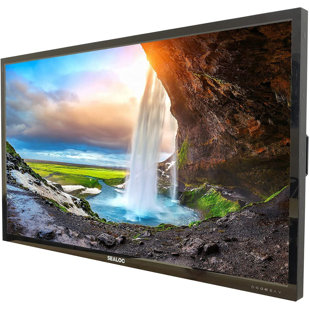 Sealoc Single Screen Electronic Mount