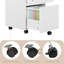 McLoughney 40cm Wide Mobile File Cabinet-1684424113