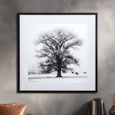 «Winter's Morning Fog IV», reproduction de photo sur papier encadrée