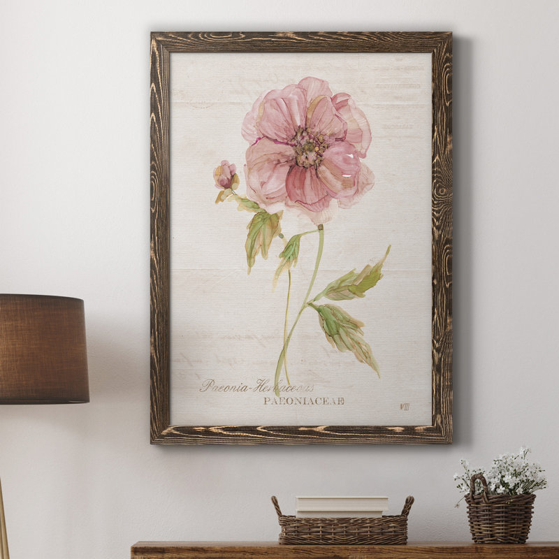 Soft Peony - peinture sur toile encadrée, Noyer, H 20 po x l 17 po x P 1,5 po