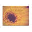 No Frame Print on Canvas-1593440895