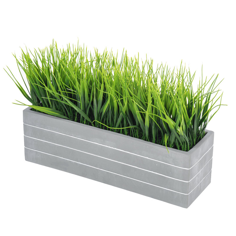 24.9cm Faux Herbs Grass in Cement Planter