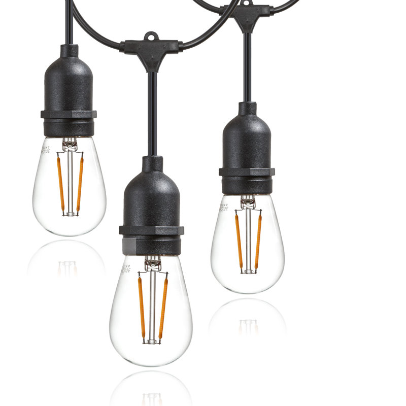 Kurt Outdoor 16 - Bulb 48'' Plug-in LED String Light