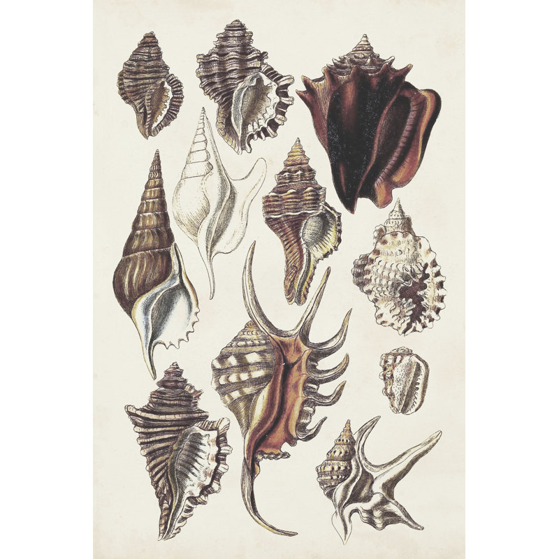 Nouveau Floral Design II - Wrapped Canvas Print, 46cm H x 30cm Wx 3.8cm D