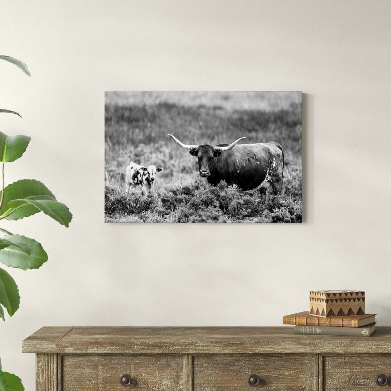 B&W Longhorn II, H 20 po x l 30 po x P 1,25 po