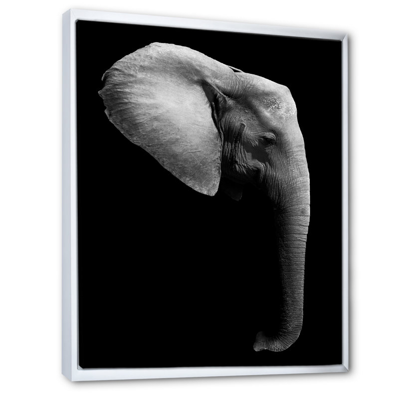 Éléphant d'Afrique en noir et blanc - Impression sur toile, H 20 po x l 12 po, Cadre flottant blanc