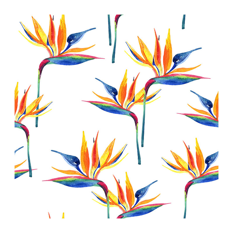 Lebofsky 2.5m x 2.5m Matte Mural, 250 x 250cm