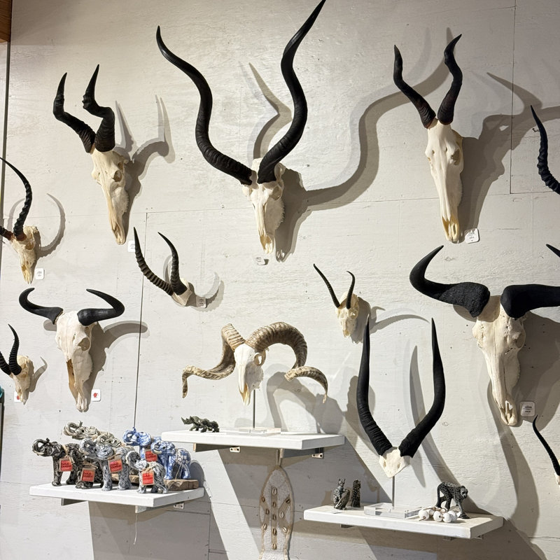 Wall Decor