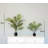 Artificial Areca Palm Tree in Pot-906890057