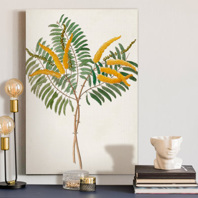 Reproduction d’art sur toile tendue « Botanical of the tropiques VIII »