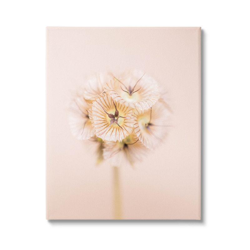 Brin de fleur pastel rose par Renee W. Stramel - photographie, H 20 po x l 16 po x P 1,5 po